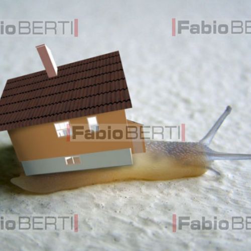 inserción casa en caracol foto