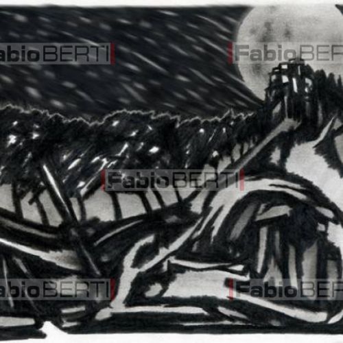 danza sotto le stelle